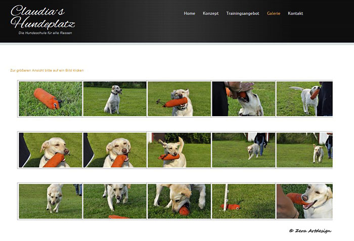 Website, Foto-Gallerie Dummy-Training, Claudias Hundeplatz